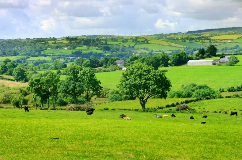 BBC Northern Ireland promises to improve farming coverage 28 February