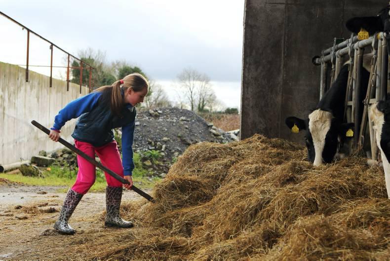 GalwayMayo focus A dairy farmer speaks about his life on his farm 08 April 2015 Premium