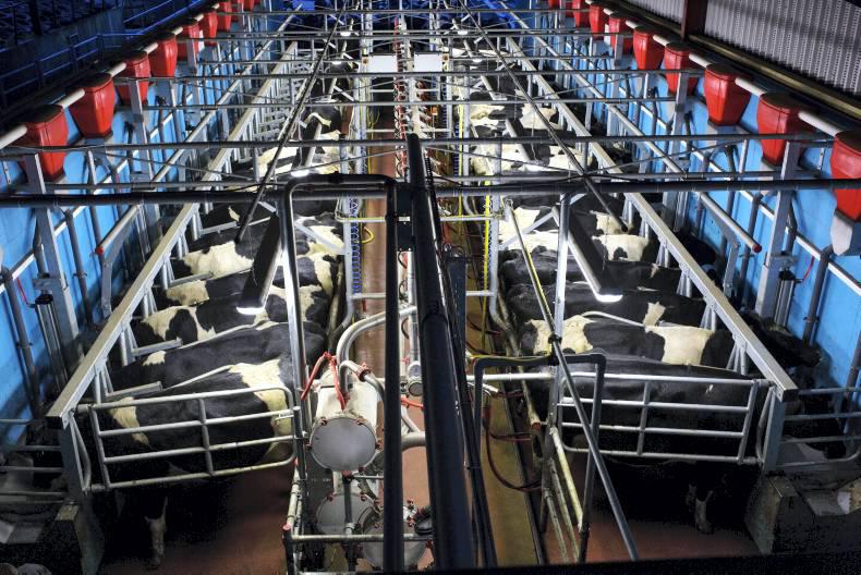 Italy faces court for failure to pay €1.34bn superlevy fine