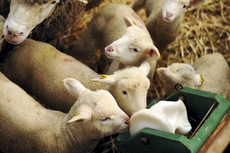 CAP information meetings start in Donegal