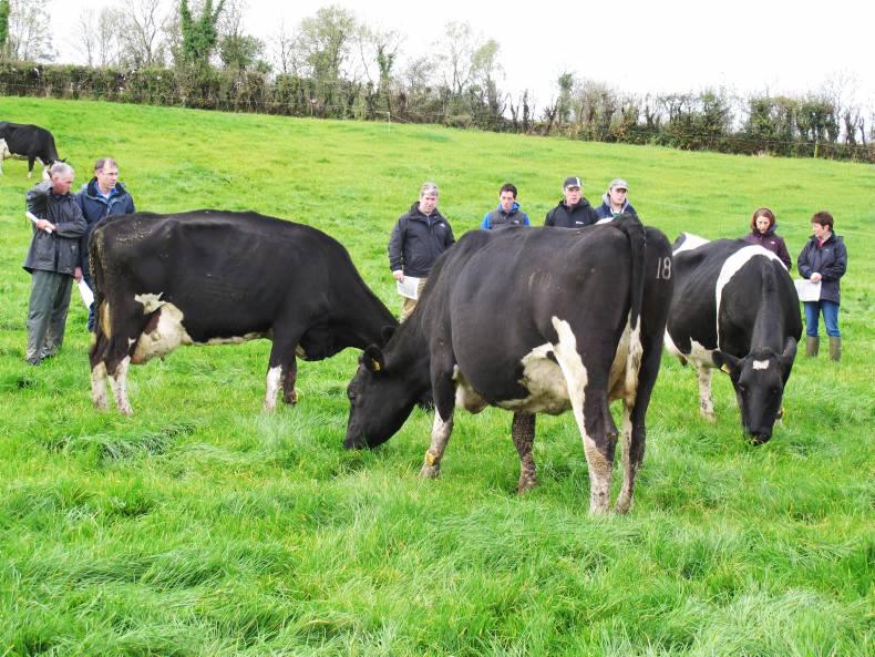 Dairy management notes for dairy farmers