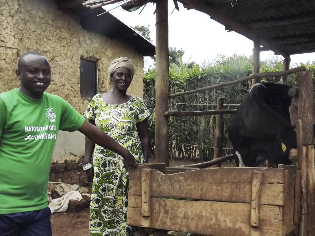 Bóthar appeals for calf donations 