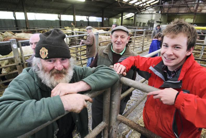 Charolais society launch suckler competition