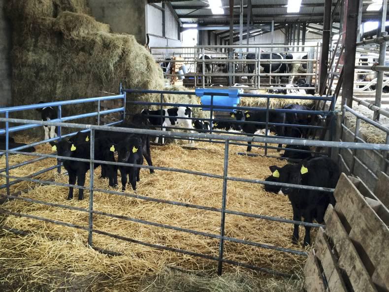 Farmer writes: New additions to the farm