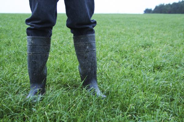 Legal query: Long-term lease — putting land into joint names