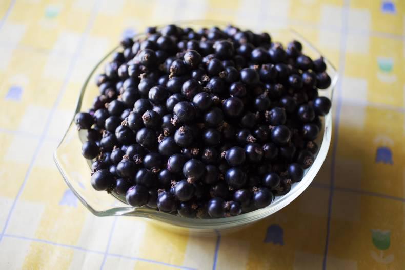 Last blackcurrant farmer launches new drink