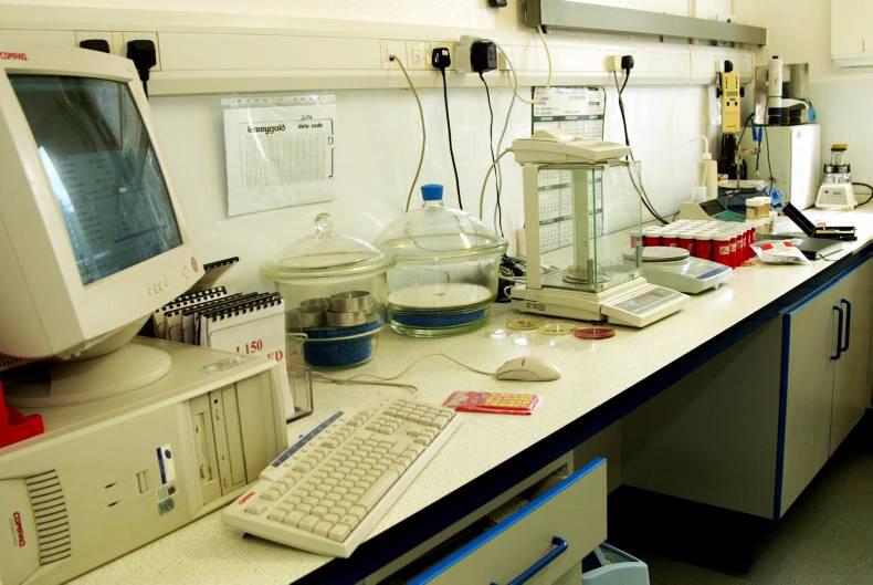 Meat grown in a laboratory soon to commercially viable, says