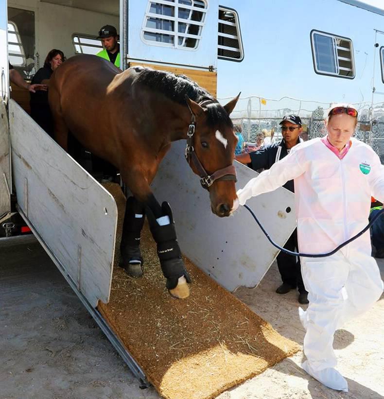 Good Paris Outing For Allen as Las Vegas beckons