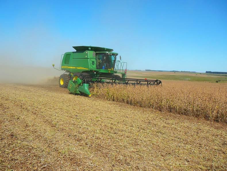 Industry and environmentalists turn up heat as EU drafts regulations on GM feed