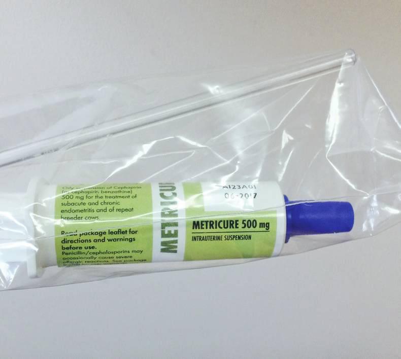 Dairy Know-How: The breeding season on spring calving dairy farms