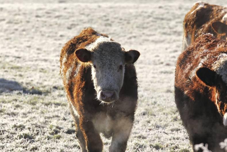 Temperatures to dip over the next few days