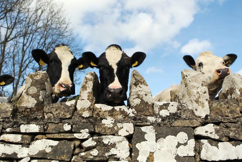 The latest agricultural jobs in Ireland and abroad 30 November 0001 Free