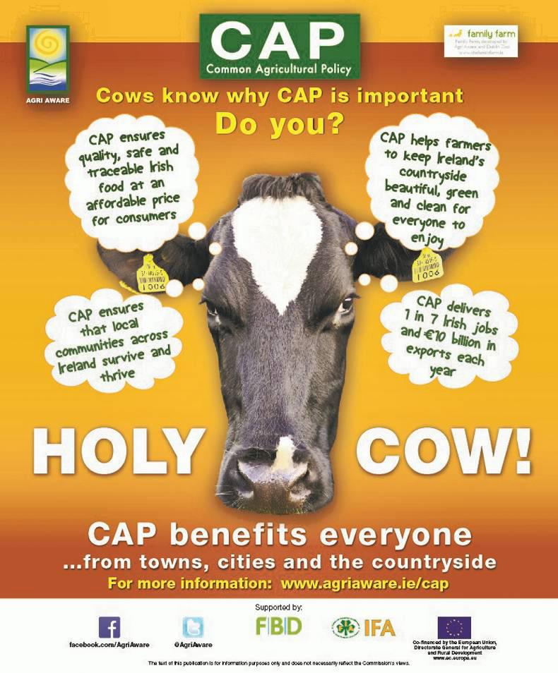 Reasons to be proud of Ireland's agri-food sector