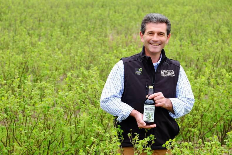 Podcast: Hear the story of Ireland's only commerical blackcurrant farmer