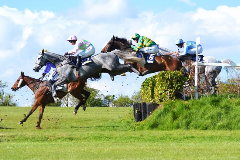 Packing a Punch at Punchestown