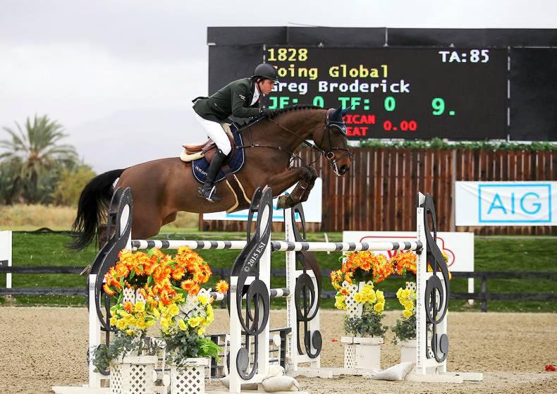 Going Global only bright spark in grim Belgium Nations Cup effort