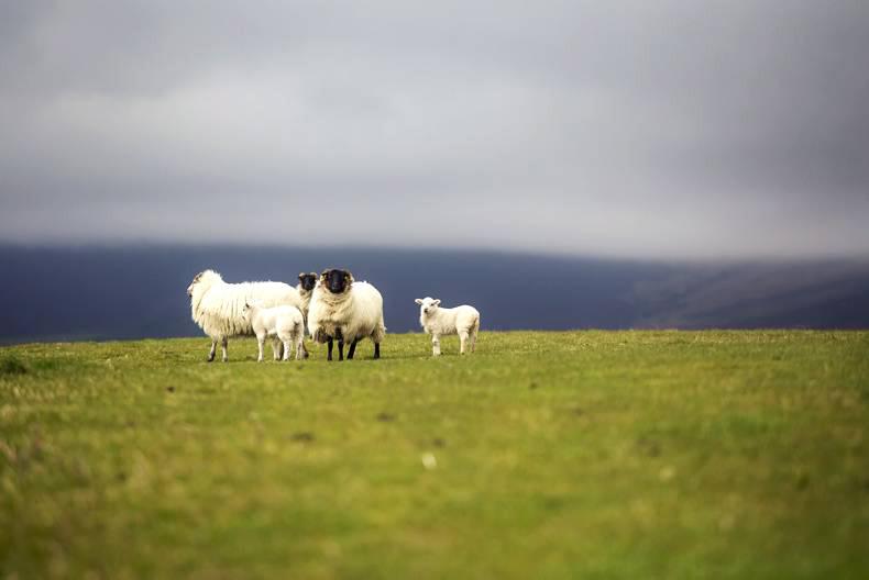 Weather update: Rain to ease off during the week 