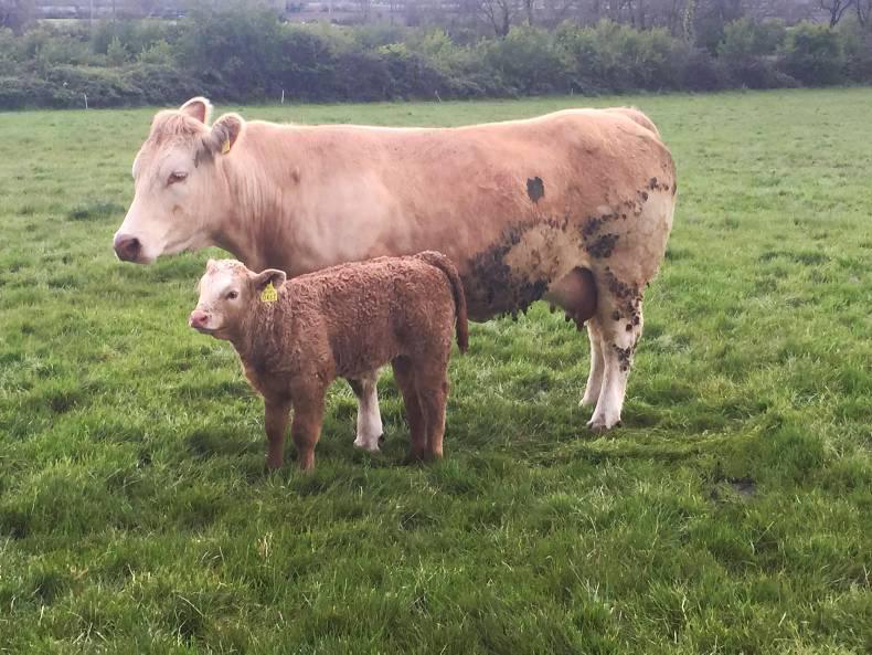 Farmer writes: The irony of weather stories and useful technology