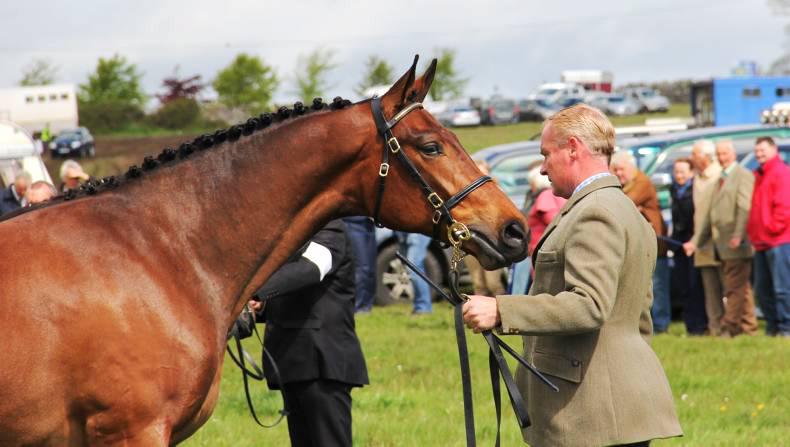 A Walk In The Park for Tiernan Gill