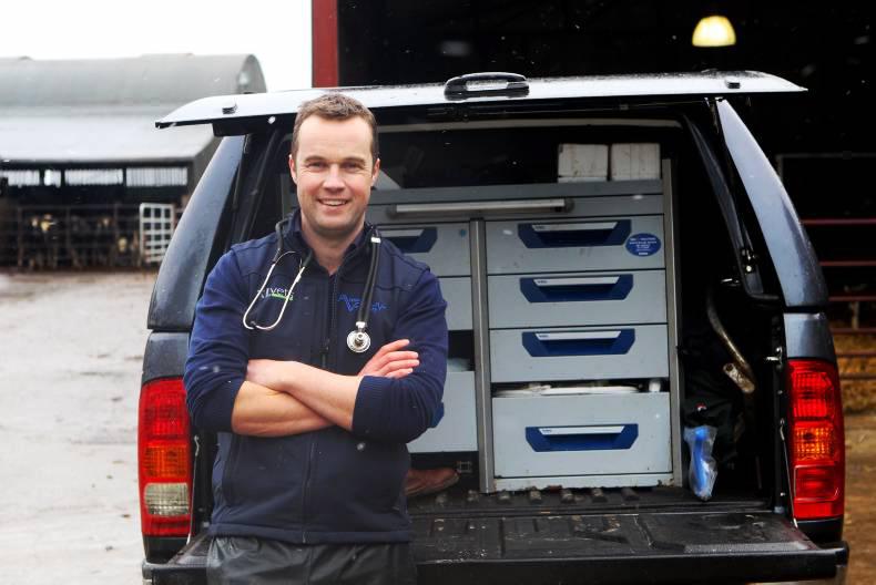 Vet’s Corner: Trace element deficiencies in sheep