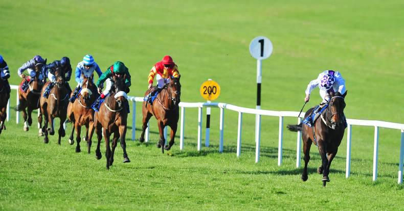 Bolger stable on form with Pleascach leading the way