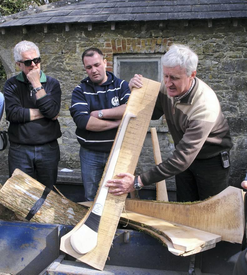 Chalara casts a cloud over ash despite reduced incidences of the disease 