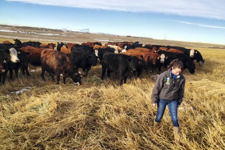 Musings from the Maple Country: Our blogger Emma has been in Canada for 5 years