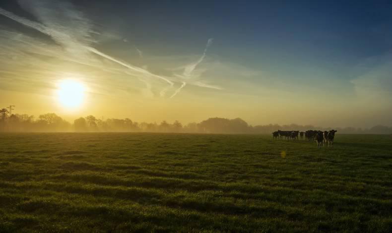 Always look on the bright side of life