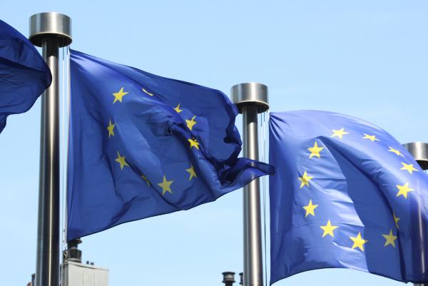 95% of Irish farmers support EU membership 