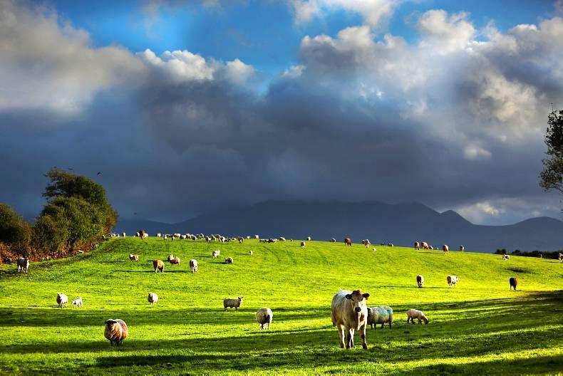 10 steps to dealing with unseasonal weather