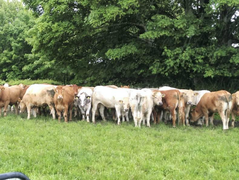 Farmer Writes: Still a long road to the harvest 