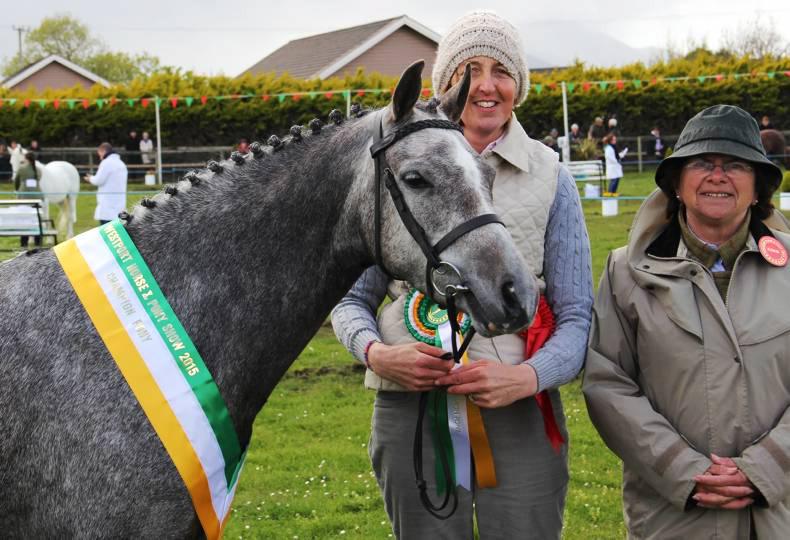 Murphy Double At Westport     