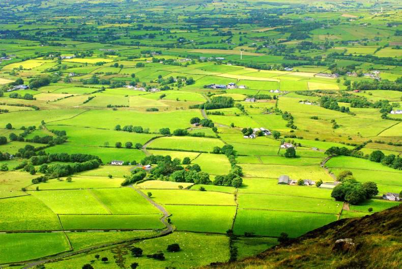 Crunch charter issues as inspections start