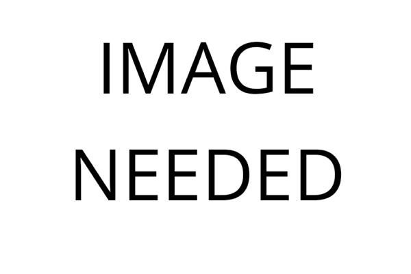 What's On from Thursday 11th June 2015