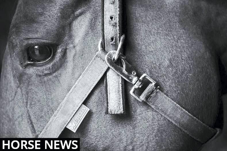 Winning weekend for Butler and Vimminka