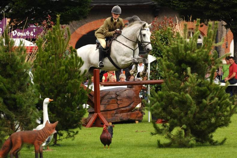 Connemaras to go International at Dublin 