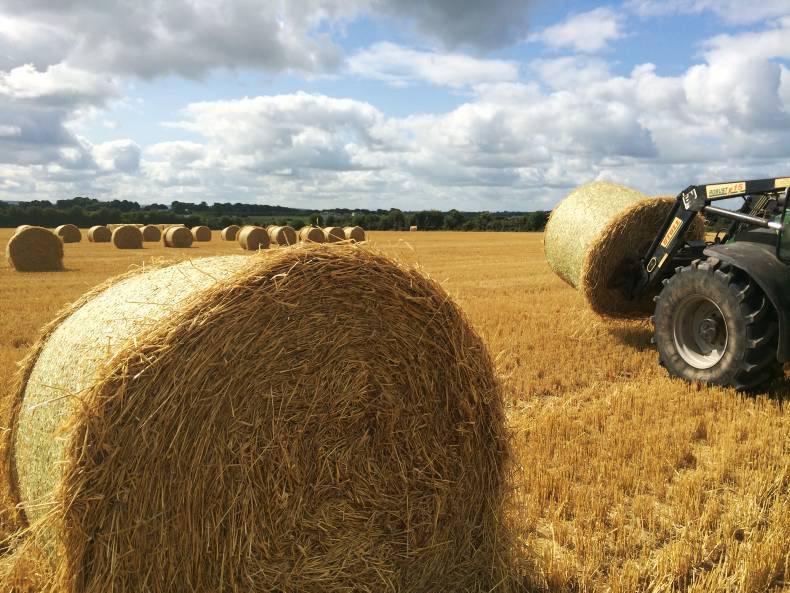 Straw dealer impounded for using a trailer 17 June 2015 Premium