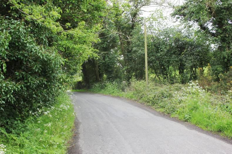 A near miss to avoid roadside hedge