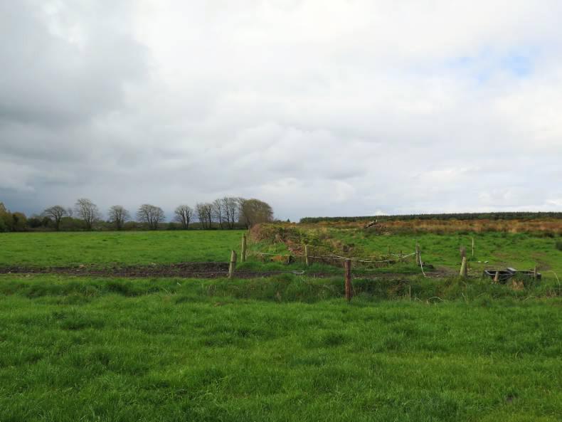 Grass growth forecasting on the way 