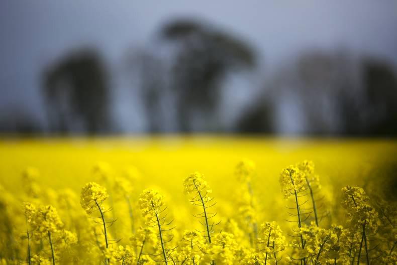 Agricultural jobs in Ireland and abroad 