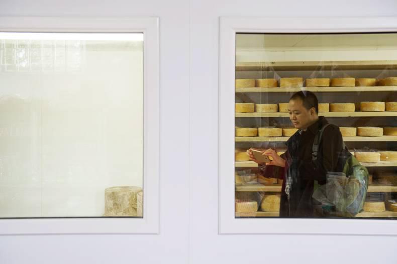 Could cheese be the next health food? 