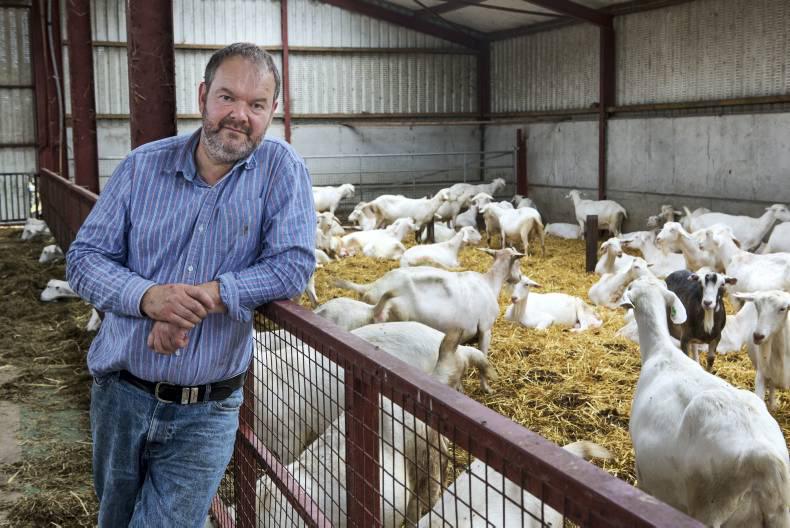 My Farming Week: Dominic Gryson, Tara, Skryne, Co Meath