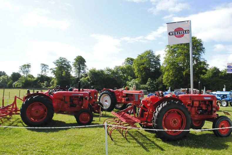 Fingal relives RDS Spring Show 1965
