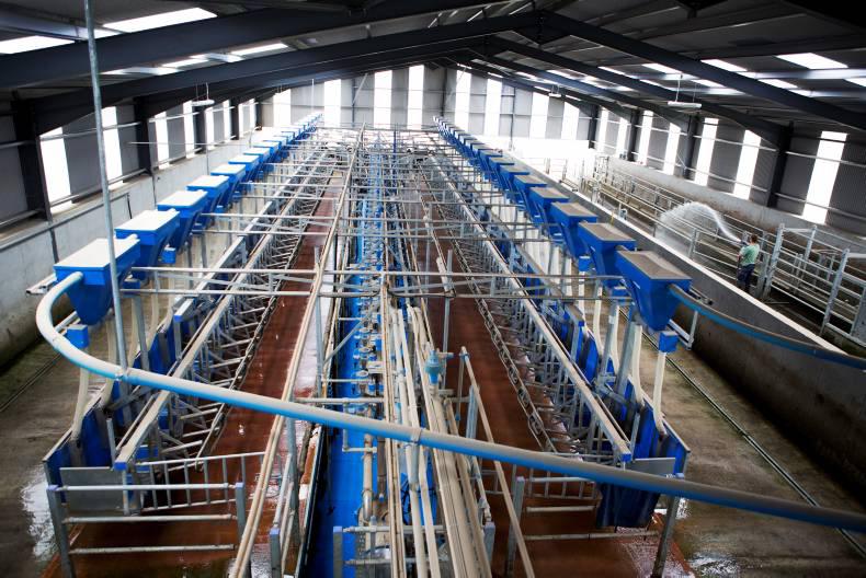 First Milk builds plant to convert cheese waste to gas