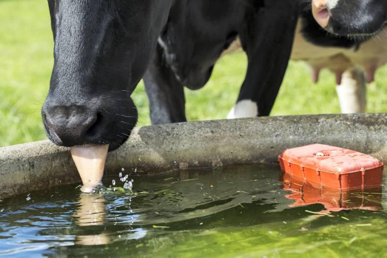 Introduction to water and septic tank supplement