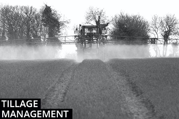 Tillage management:  Winter barley harvest close to kick-off