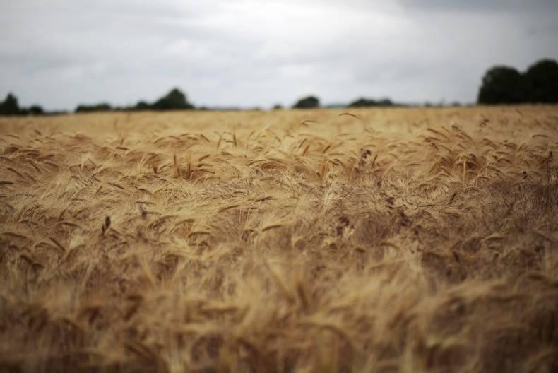 Average temperatures and scattered showers for the weekend ahead