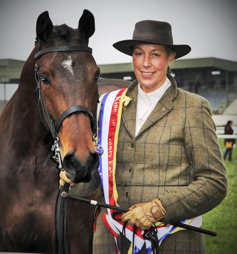 The Irish Horse: Notalot Could Beat Monahan at Wexford final 