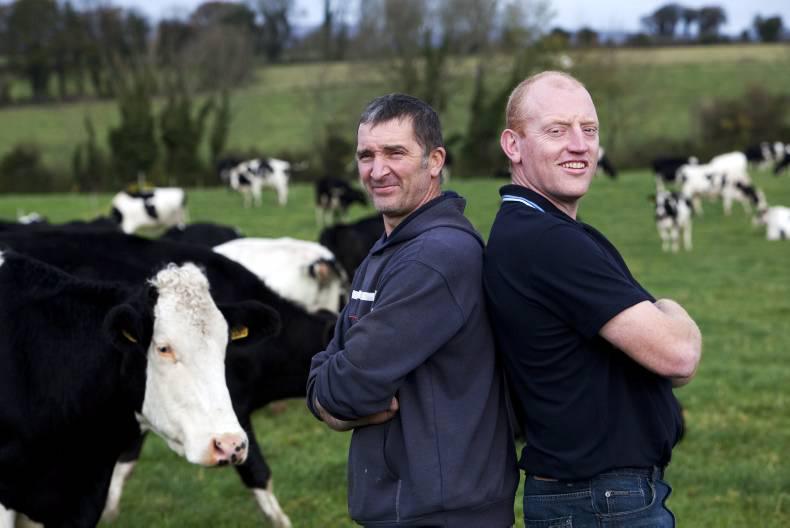 €3m grant scheme to encourage farming partnerships