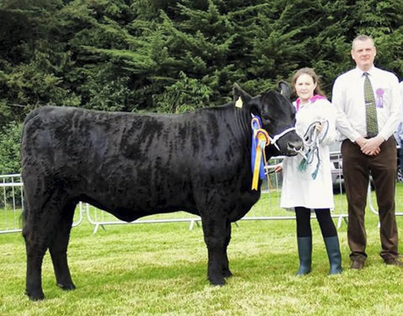 Diary of a work experience student: Teagasc trials and summer shows 